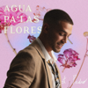Agua pa las flores - st. Pedro