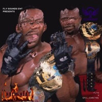 HRLM HEAT - EP - FlyG & SPCL_CHRCTRS