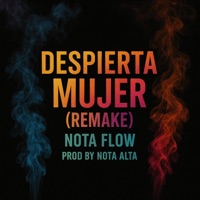 Despierta Mujer (Remake) - Single - Heilyn Nota Alta