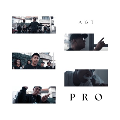 P R O (feat. Gingerr, Mr. K, Antonio Palestina & Lenguaje 98) - Single