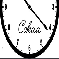 Cant Waste No Time - Single - Cokaa