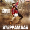 SteppaMaar (From "double Ismart - Malayalam") - Single