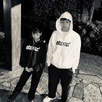 Por la Guita (feat. Emirsito) - Single - Zé Pequeña