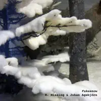 Fakesnow — R. Missing Johan Agebjorn