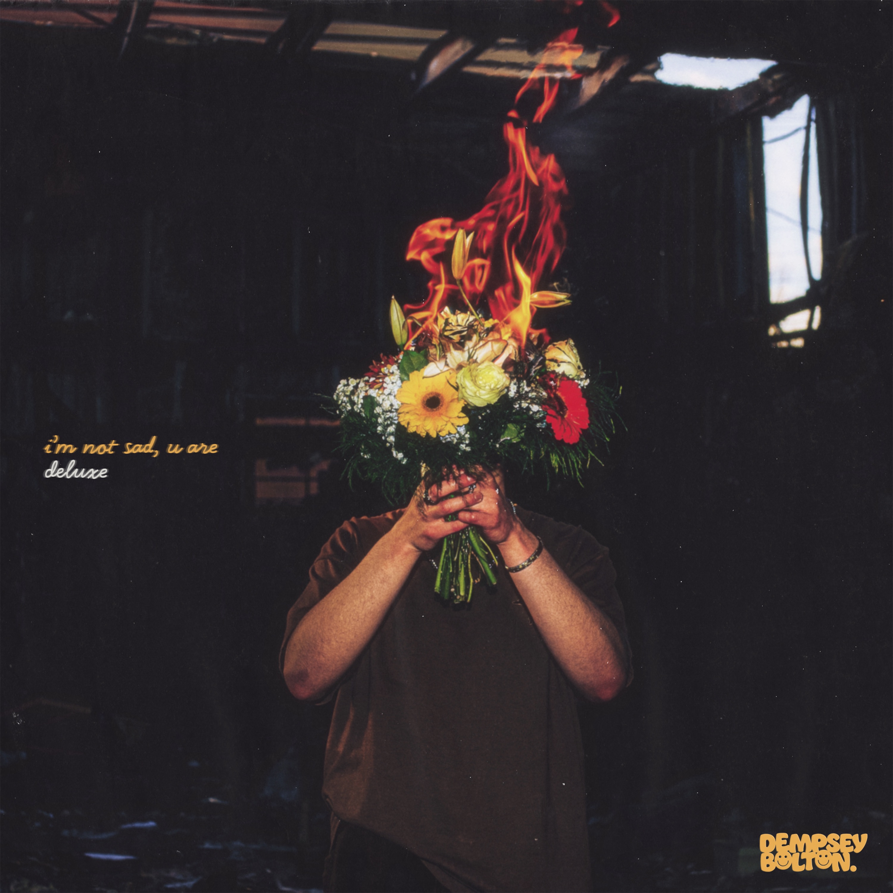 i'm not sad, u are (Deluxe)