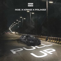 Pull Up - Single - Palmzz, Krimz & Ace.
