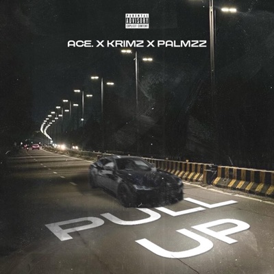 Pull Up - Single