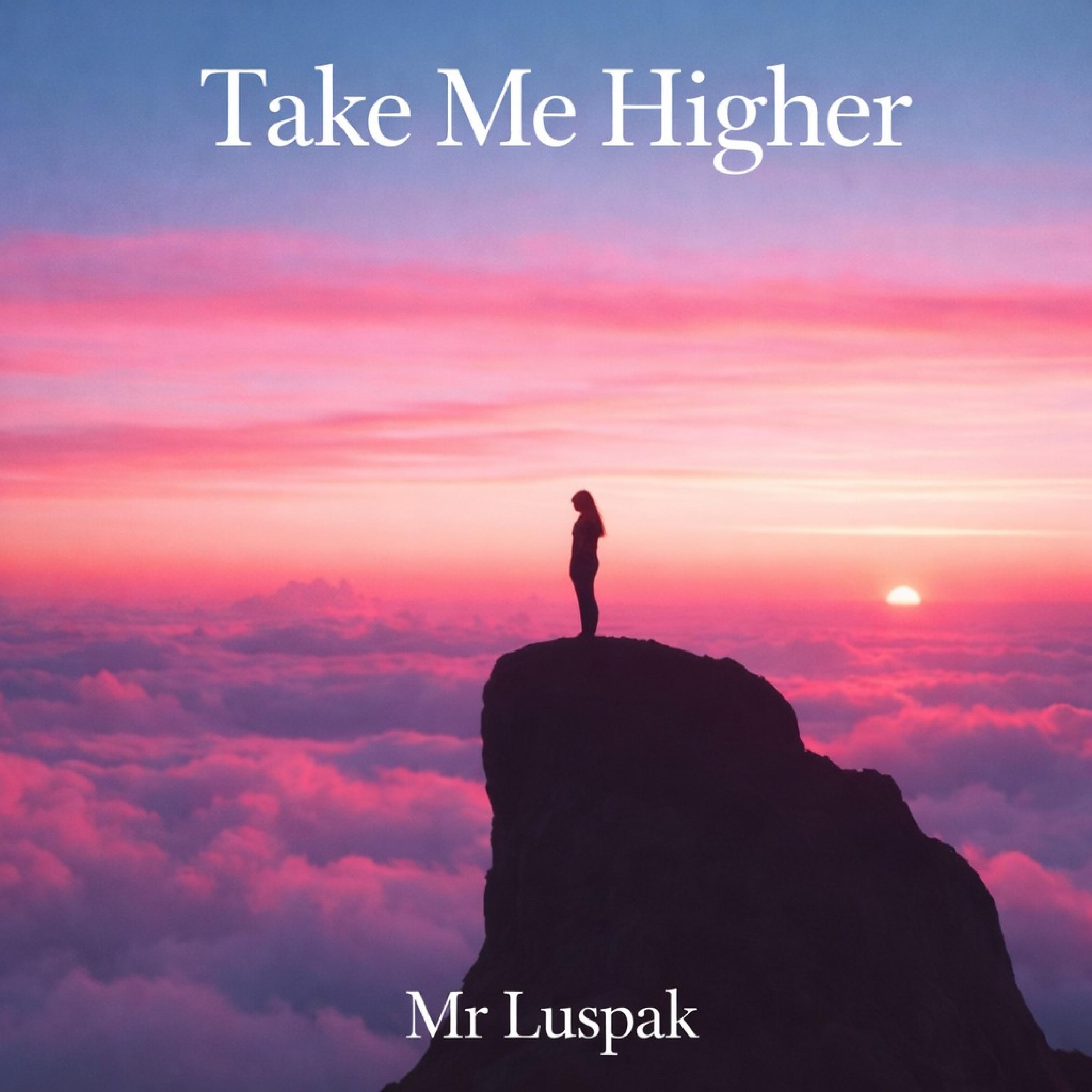 Take Me Higher - Single