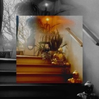 Meditate - Single - Lil Peace