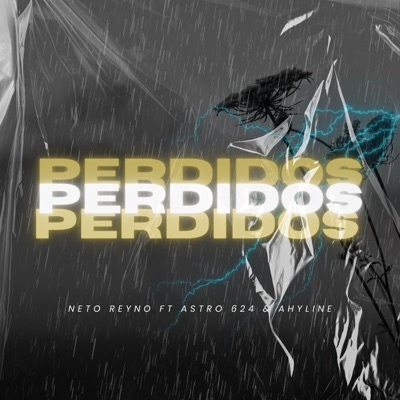 Perdidos (feat. Astro 624 & Ahyline) - Single