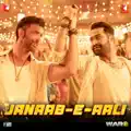 Janaab E Aali