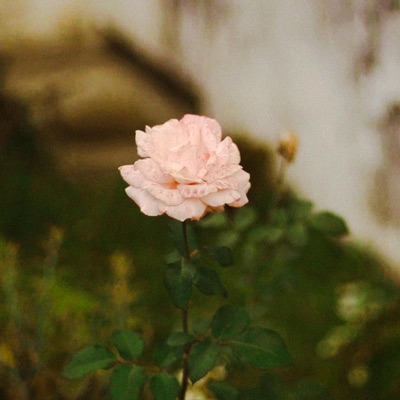 Las canciones que escribía (feat. Zinamorx) - Single