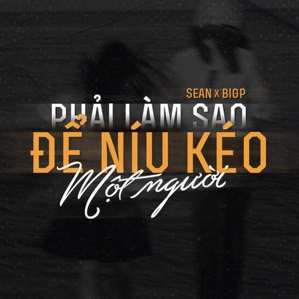 Phải Làm Sao Để Níu Kéo Một Người - Single