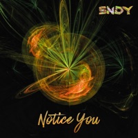 Notice You - Single - SNDY