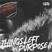 Things Left On Purpose II - The Kid Flames