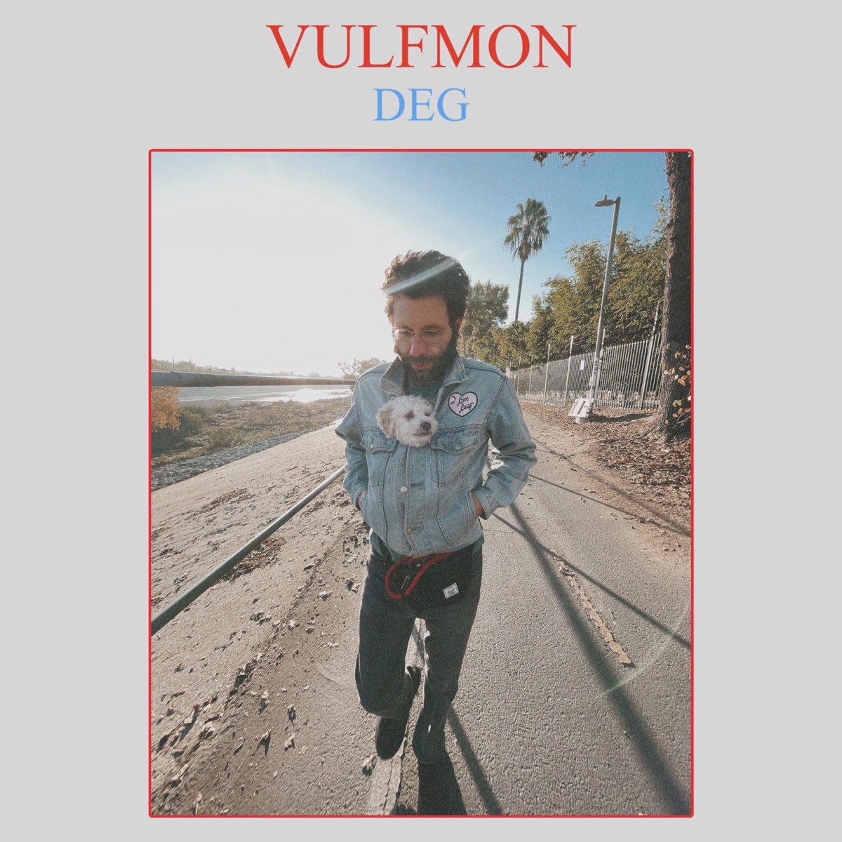 VULFMON “Dot” #1285/2510 New Black Vinyl (Vulfpeck) - US CAN