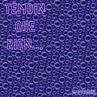 Témoin que rien... (feat. Hikari) - Single - Allons Enfants de la Party