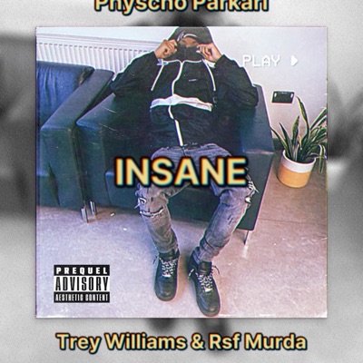 INSANE (feat. Trey Williams & Rsf Murda) - Single