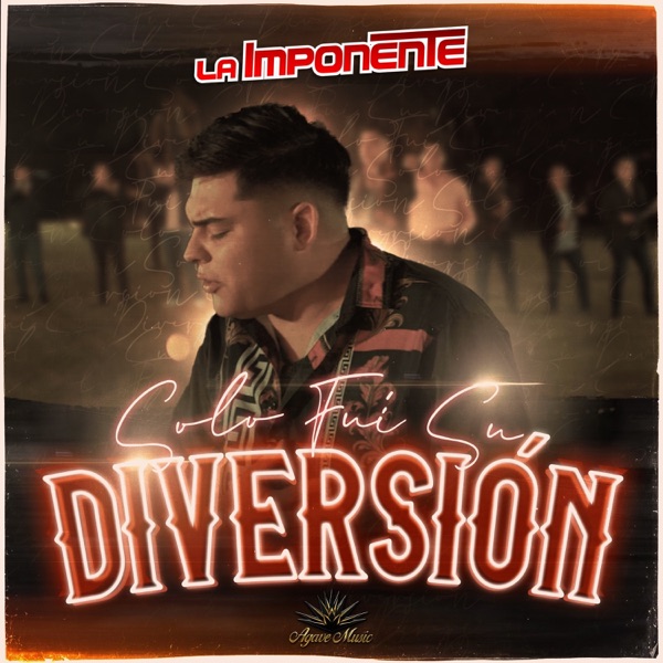 Solo Fui Su Diversión