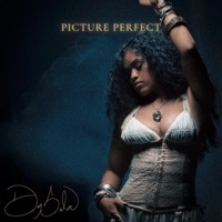 Picture Perfect - Single - Day Sulan