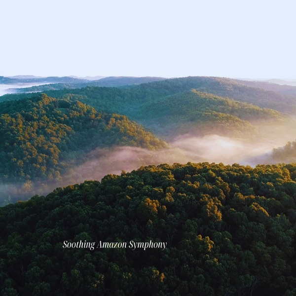 Soothing Amazon Symphony - Single