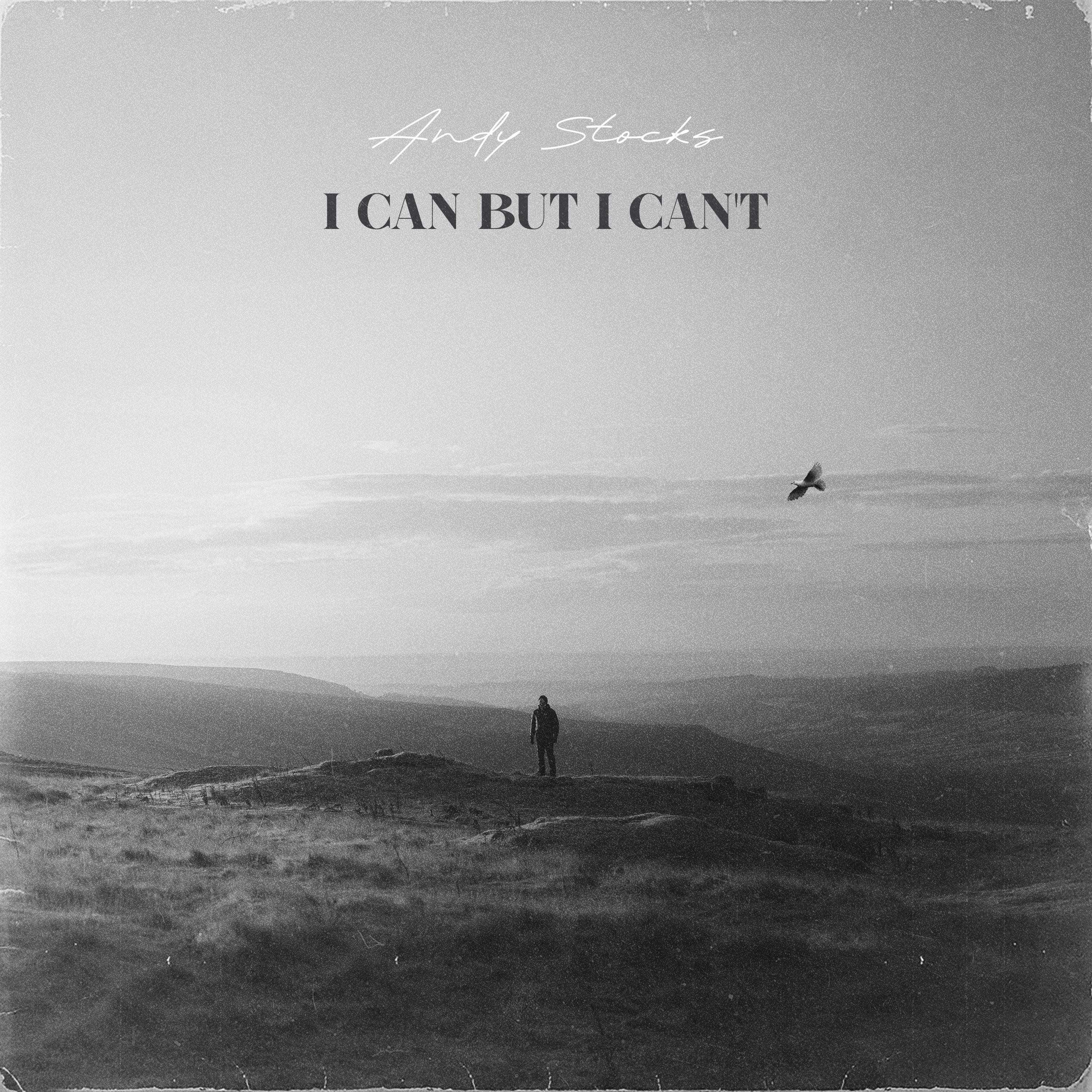 I Can But I Can't - Single