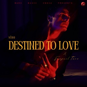 Destined to love (feat. Swapnil Tare)