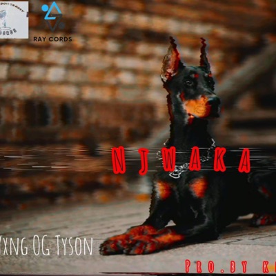 Njwaak (feat. Yxng OG Tyson) - Single