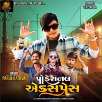 Professional Express - Parul Rathva