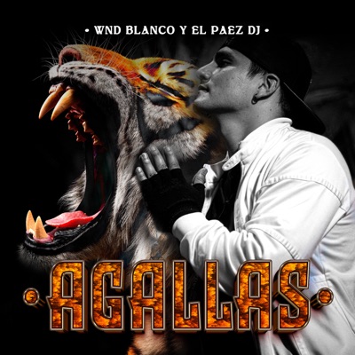 Agallas (feat. El Paez Dj) - Single