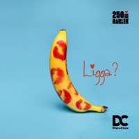 Ligga? - Single - Discocrew & 250 kg kärlek