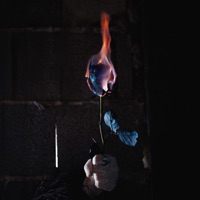 MA CHE BELLA SEI (Zazza & Ablus Remix DANCE LOVE) - Single - Zero Vicious