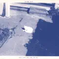 Can't You See