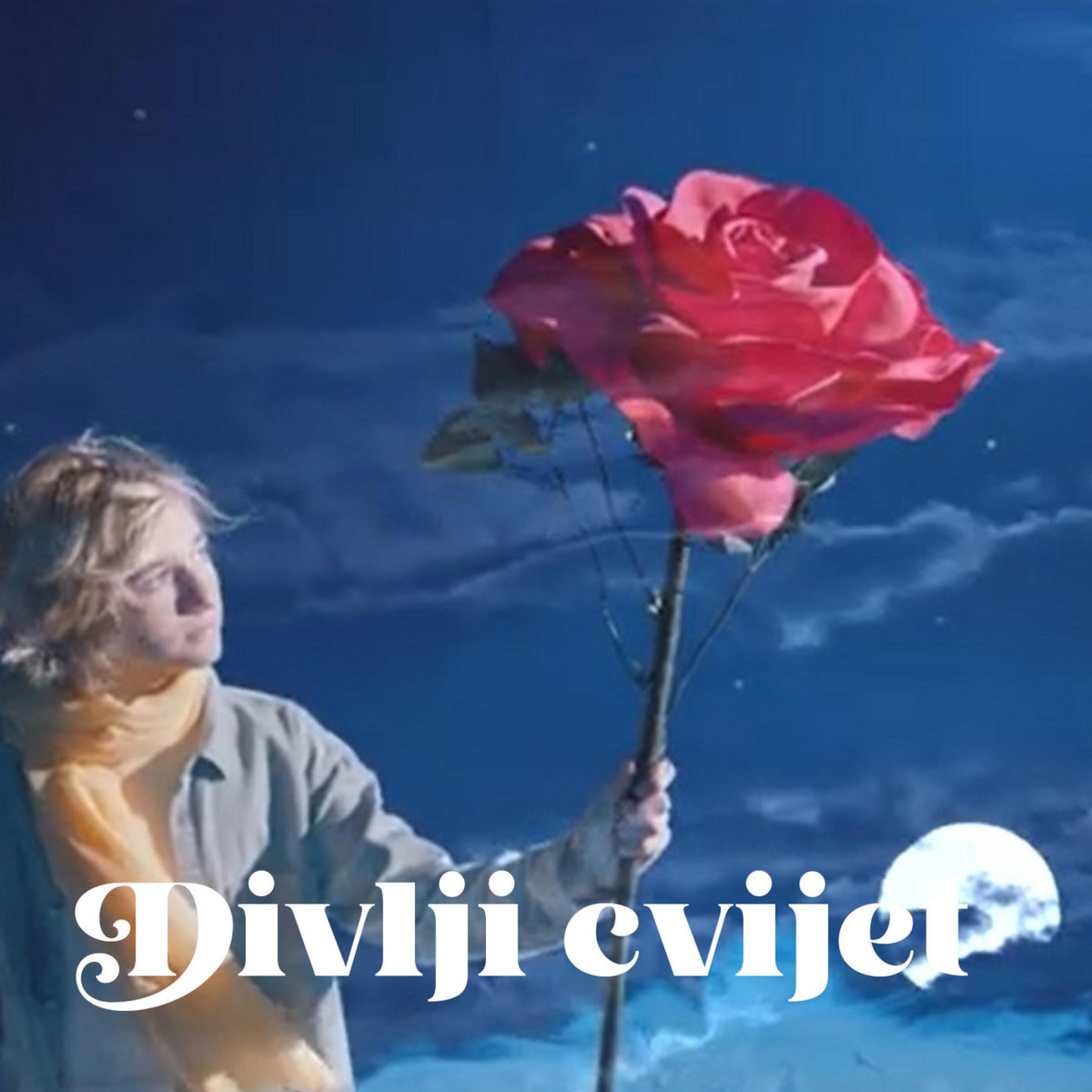 Divlji cvijet - Single
