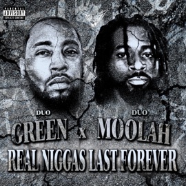 Secret Service (feat. Meech Almighty) Duo Green & Duo Moolah