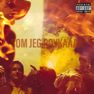 SOM JEG RØYKAAAA (feat. Nessie) - Single