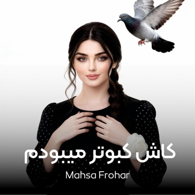 کاش کبوتر میبودم (Remix)