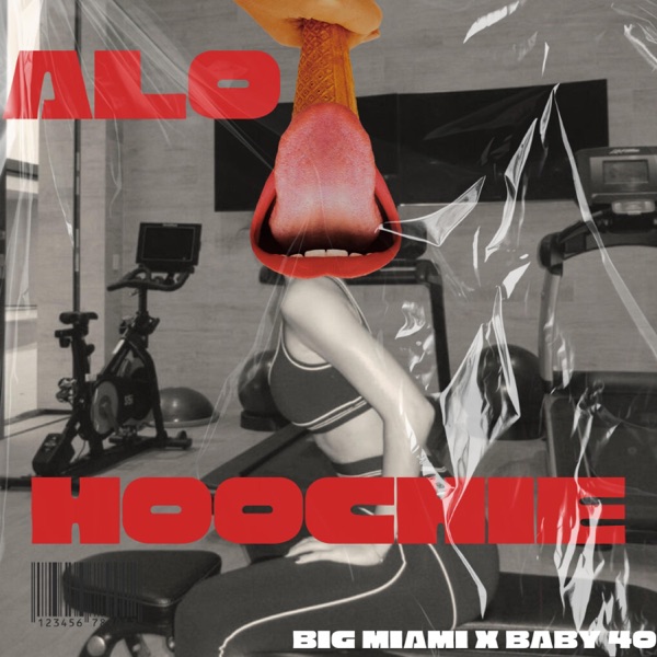 ALO HOOCHIE (feat. Baby 40)