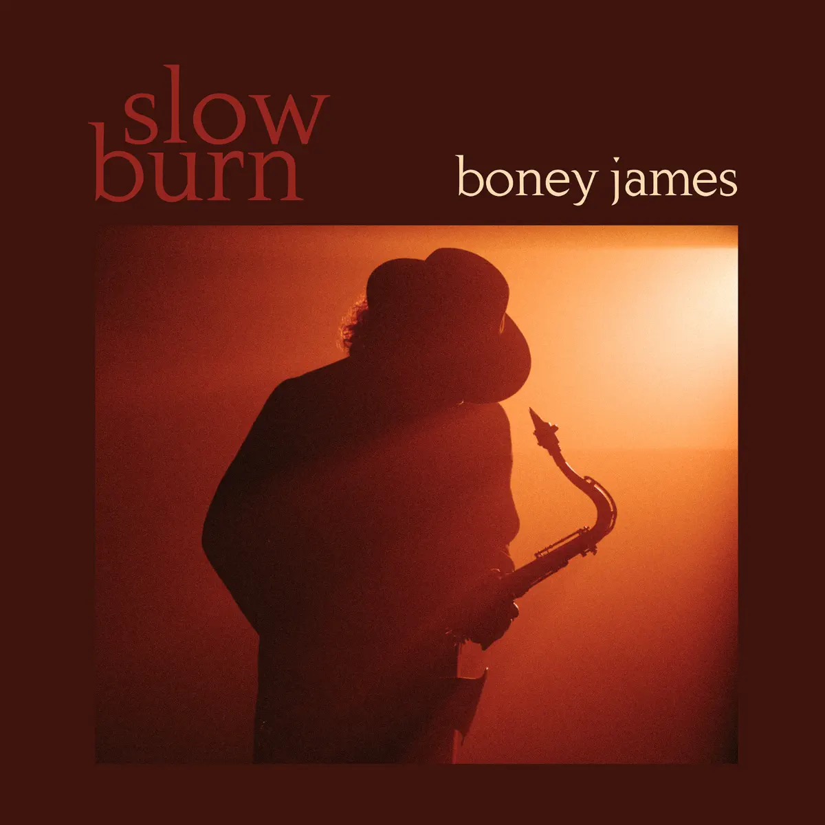 Boney James - Slow Burn (2024) [iTunes Plus AAC M4A]-新房子