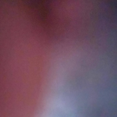 5am In the Zoo - Single