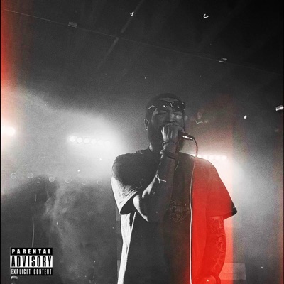 Never Been Better - Single