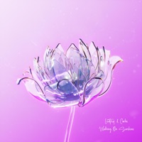 Walking On Sunshine - Single - Leat'eq & CARLIE