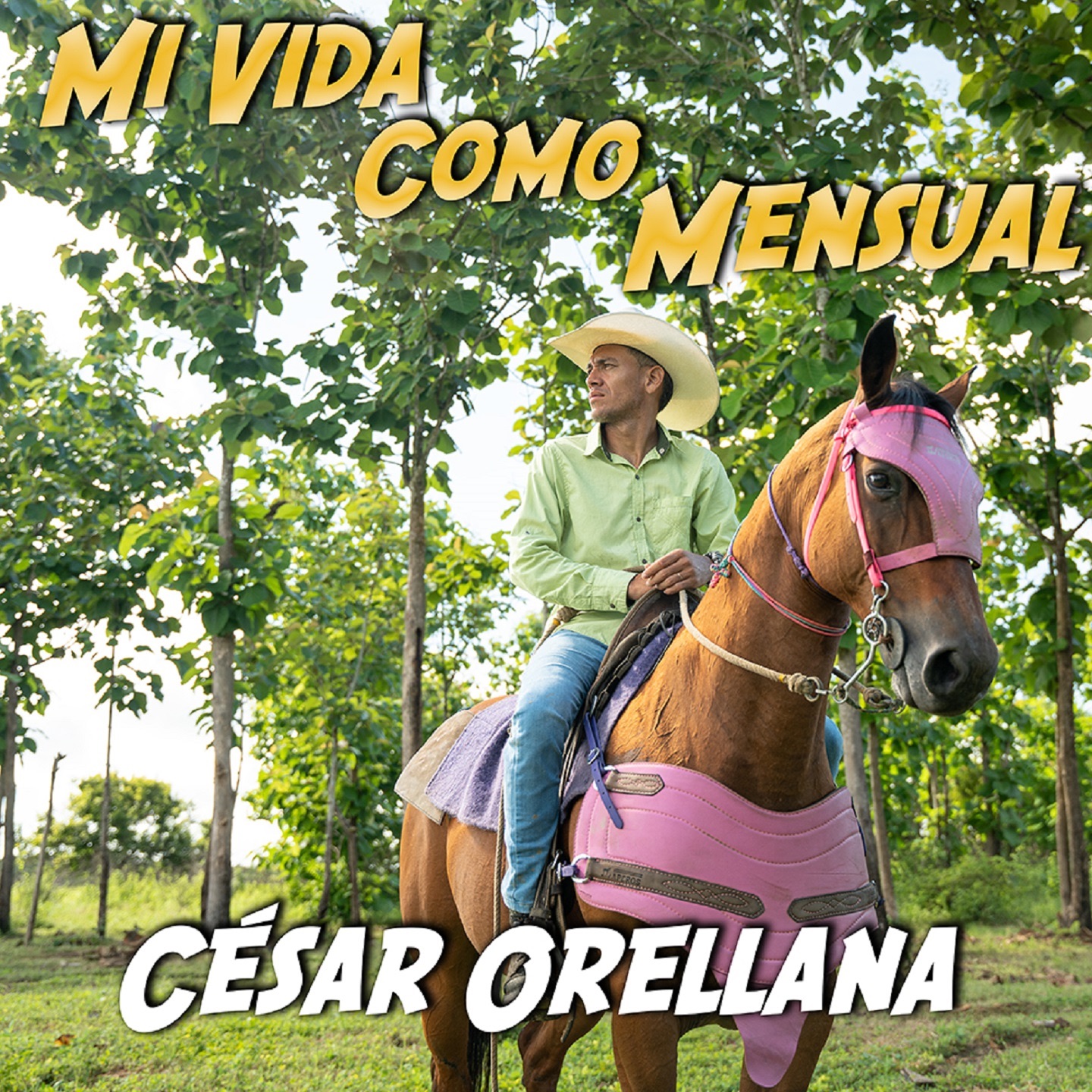 Mi Vida como Mensual - Single
