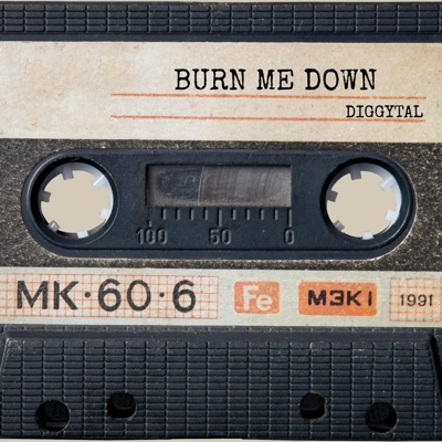 Burn Me Down - Single