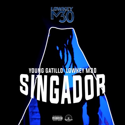 Singador (feat. Lowkey M30 & Young Gatillo) - Single