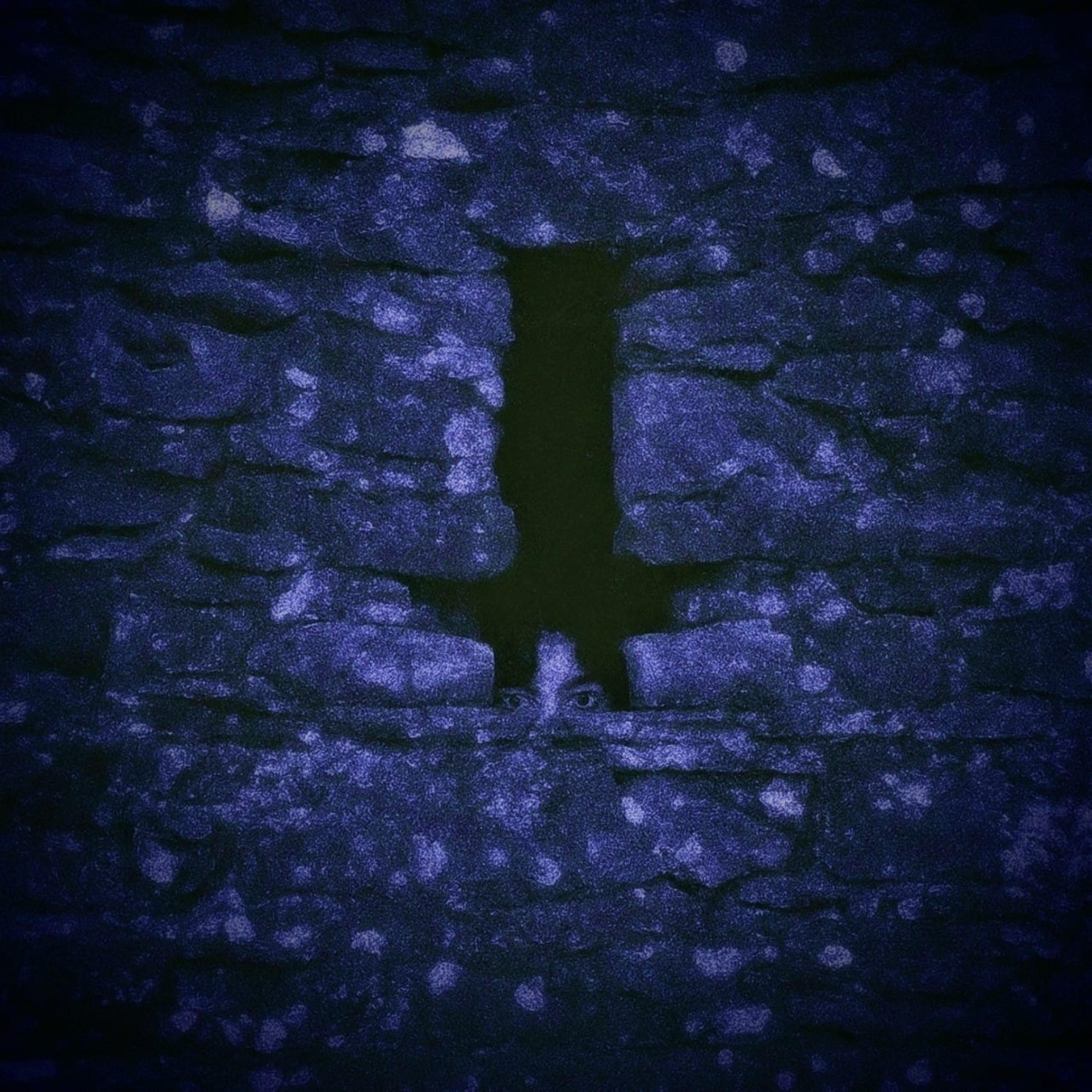 SAL, Barney Greenway - Blazing In The Sun (feat. Barney Greenway)