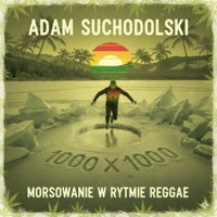 Adam Suchodolski - (Drum and Bass) [AKS x Deny Remix] album artwork