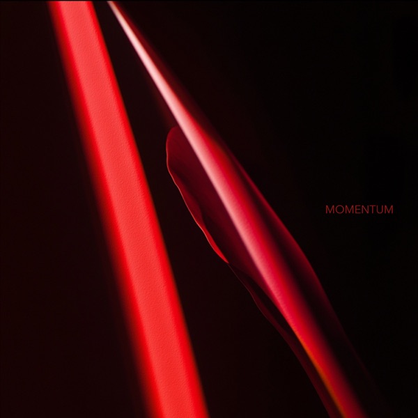 Momentum