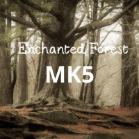 Enchanted Forest - Single - MK5