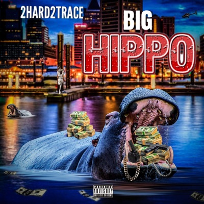 BIG HIPPO (Album)
